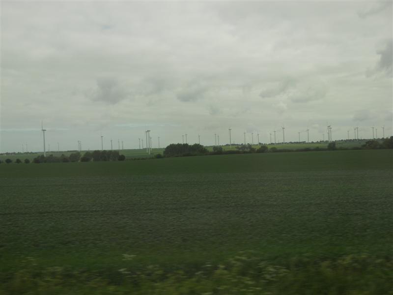 DSCN0466 (Medium).jpg